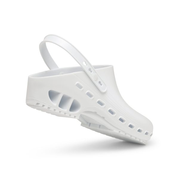 Ivar - Image 6